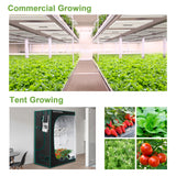 【New Stock Arrived】Mars Hydro FC 4800 Led Grow Light SamsungLM301B Commercial Greenhouse Medical Indoor Kit