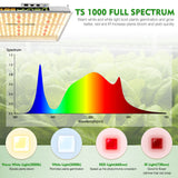 Mars Hydro TS 1000W Led Grow Lights+100*100*180 Indoor Grow Tent Hydroponics Grow Kits Veg Flower Combo