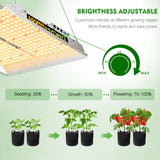 TS1000 kits Full Spectrum LED Grow Light Sunlike Dimmable Lamp for Hydroponics Indoor Veg Flower