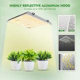 Mars Hydro TSL 2000W Led Grow Light+120x60x180cm Indoor Tent Hydroponics Completed Grow Kits Carbon Filter【Pre Order, New stock will available on Sep 20】