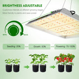 Mars Hydro TSL 2000W Led Grow Light+120x60x180cm Indoor Tent Hydroponics Completed Grow Kits Carbon Filter【Pre Order, New stock will available on Sep 20】