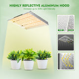 Mars Hydro TSW2000 Led Grow Lights+Indoor Grow Tent Hydroponics Grow Kits Veg Flower Combo