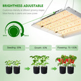 Mars Hydro TSW2000 Led Grow Lights+Indoor Grow Tent Hydroponics Grow Kits Veg Flower Combo